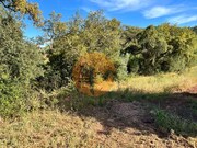 Terreno R�stico - Salir, Loul�, Faro (Algarve) - Miniatura: 8/9