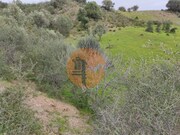 Terreno R�stico - Castro Marim, Castro Marim, Faro (Algarve) - Miniatura: 9/9