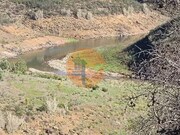 Terreno Rstico - Azinhal, Castro Marim, Faro (Algarve) - Miniatura: 5/9