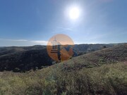 Terreno Rstico - Azinhal, Castro Marim, Faro (Algarve) - Miniatura: 6/9