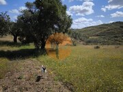 Terreno R�stico - Castro Marim, Castro Marim, Faro (Algarve) - Miniatura: 2/9