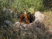 Terreno R�stico - Castro Marim, Castro Marim, Faro (Algarve) - Miniatura: 3/9