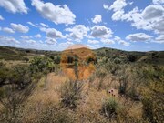 Terreno R�stico - Castro Marim, Castro Marim, Faro (Algarve) - Miniatura: 4/9