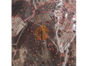 Terreno R�stico - Azinhal, Castro Marim, Faro (Algarve) - Miniatura: 1/6