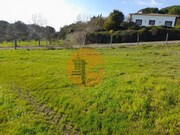 Terreno R�stico - S�o Jo�o da Ribeira, Rio Maior, Santar�m - Miniatura: 1/9