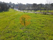 Terreno R�stico - S�o Jo�o da Ribeira, Rio Maior, Santar�m - Miniatura: 2/9