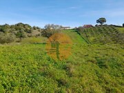 Terreno R�stico - S�o Jo�o da Ribeira, Rio Maior, Santar�m - Miniatura: 3/9