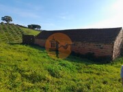 Terreno R�stico - S�o Jo�o da Ribeira, Rio Maior, Santar�m - Miniatura: 4/9