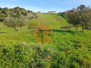 Terreno R�stico - S�o Jo�o da Ribeira, Rio Maior, Santar�m - Miniatura: 5/9