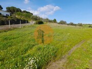 Terreno R�stico - S�o Jo�o da Ribeira, Rio Maior, Santar�m - Miniatura: 6/9