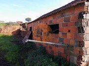 Terreno R�stico - S�o Jo�o da Ribeira, Rio Maior, Santar�m - Miniatura: 7/9