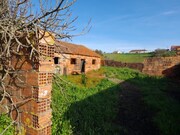 Terreno R�stico - S�o Jo�o da Ribeira, Rio Maior, Santar�m - Miniatura: 8/9