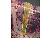 Terreno R�stico - Alcoutim, Alcoutim, Faro (Algarve) - Miniatura: 1/9