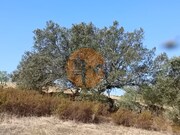 Terreno Rstico - Azinhal, Castro Marim, Faro (Algarve) - Miniatura: 2/9