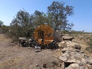 Terreno Rstico - Azinhal, Castro Marim, Faro (Algarve) - Miniatura: 6/9