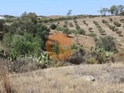 Terreno Rstico - Azinhal, Castro Marim, Faro (Algarve) - Miniatura: 8/9
