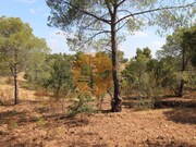 Terreno Urbano - Azinhal, Castro Marim, Faro (Algarve) - Miniatura: 4/9