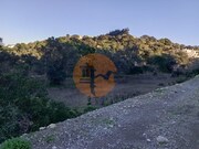 Terreno R�stico - S�o Br�s de Alportel, S�o Br�s de Alportel, Faro (Algarve) - Miniatura: 1/4