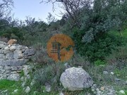 Terreno R�stico - S�o Br�s de Alportel, S�o Br�s de Alportel, Faro (Algarve) - Miniatura: 2/4