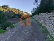 Terreno R�stico - S�o Br�s de Alportel, S�o Br�s de Alportel, Faro (Algarve) - Miniatura: 3/4