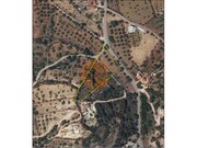 Terreno R�stico - S�o Br�s de Alportel, S�o Br�s de Alportel, Faro (Algarve) - Miniatura: 4/4