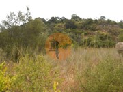 Terreno R�stico - Santa Catarina da Fonte do Bispo, Tavira, Faro (Algarve) - Miniatura: 1/8