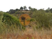 Terreno R�stico - Santa Catarina da Fonte do Bispo, Tavira, Faro (Algarve) - Miniatura: 2/8