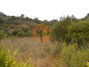Terreno R�stico - Santa Catarina da Fonte do Bispo, Tavira, Faro (Algarve) - Miniatura: 3/8