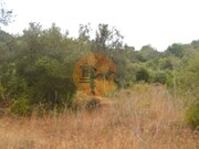 Terreno R�stico - Santa Catarina da Fonte do Bispo, Tavira, Faro (Algarve) - Miniatura: 4/8