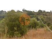 Terreno R�stico - Santa Catarina da Fonte do Bispo, Tavira, Faro (Algarve) - Miniatura: 5/8