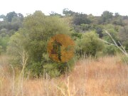 Terreno R�stico - Santa Catarina da Fonte do Bispo, Tavira, Faro (Algarve) - Miniatura: 7/8