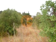 Terreno R�stico - Santa Catarina da Fonte do Bispo, Tavira, Faro (Algarve) - Miniatura: 8/8