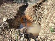 Terreno R�stico - Azinhal, Castro Marim, Faro (Algarve) - Miniatura: 5/9