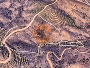 Terreno R�stico - Azinhal, Castro Marim, Faro (Algarve) - Miniatura: 9/9