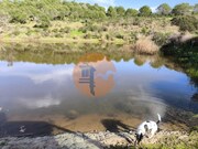 Terreno R�stico - Odeleite, Castro Marim, Faro (Algarve) - Miniatura: 2/9