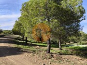 Terreno R�stico - Odeleite, Castro Marim, Faro (Algarve) - Miniatura: 3/9