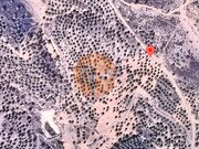 Terreno R�stico - Odeleite, Castro Marim, Faro (Algarve) - Miniatura: 5/9