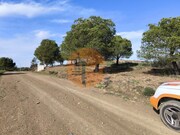 Terreno R�stico - Odeleite, Castro Marim, Faro (Algarve) - Miniatura: 8/9