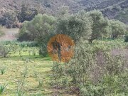Terreno R�stico - Alcoutim, Alcoutim, Faro (Algarve) - Miniatura: 3/9