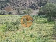Terreno R�stico - Alcoutim, Alcoutim, Faro (Algarve) - Miniatura: 4/9