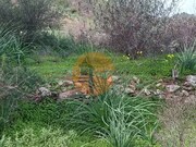 Terreno R�stico - Alcoutim, Alcoutim, Faro (Algarve) - Miniatura: 7/9