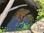 Terreno R�stico - Azinhal, Castro Marim, Faro (Algarve) - Miniatura: 2/9