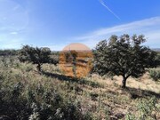 Terreno R�stico - Azinhal, Castro Marim, Faro (Algarve) - Miniatura: 6/9