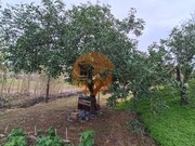 Terreno R�stico - Azinhal, Castro Marim, Faro (Algarve) - Miniatura: 3/9