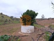Terreno R�stico - Azinhal, Castro Marim, Faro (Algarve) - Miniatura: 4/9