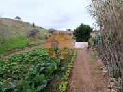 Terreno R�stico - Azinhal, Castro Marim, Faro (Algarve) - Miniatura: 7/9