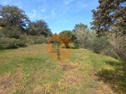 Terreno R�stico - Castro Marim, Castro Marim, Faro (Algarve) - Miniatura: 4/9