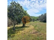 Terreno R�stico - Castro Marim, Castro Marim, Faro (Algarve) - Miniatura: 5/9