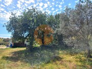 Terreno R�stico - Castro Marim, Castro Marim, Faro (Algarve) - Miniatura: 8/9