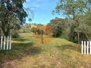 Terreno R�stico - Castro Marim, Castro Marim, Faro (Algarve) - Miniatura: 9/9